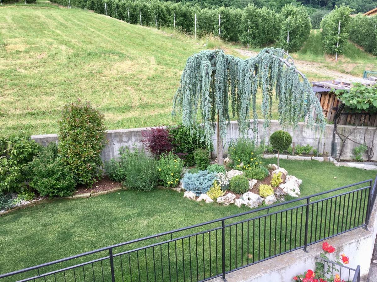 Mansarda Con Giardino Val Di Sole Trentino Apartment Terzolas ภายนอก รูปภาพ
